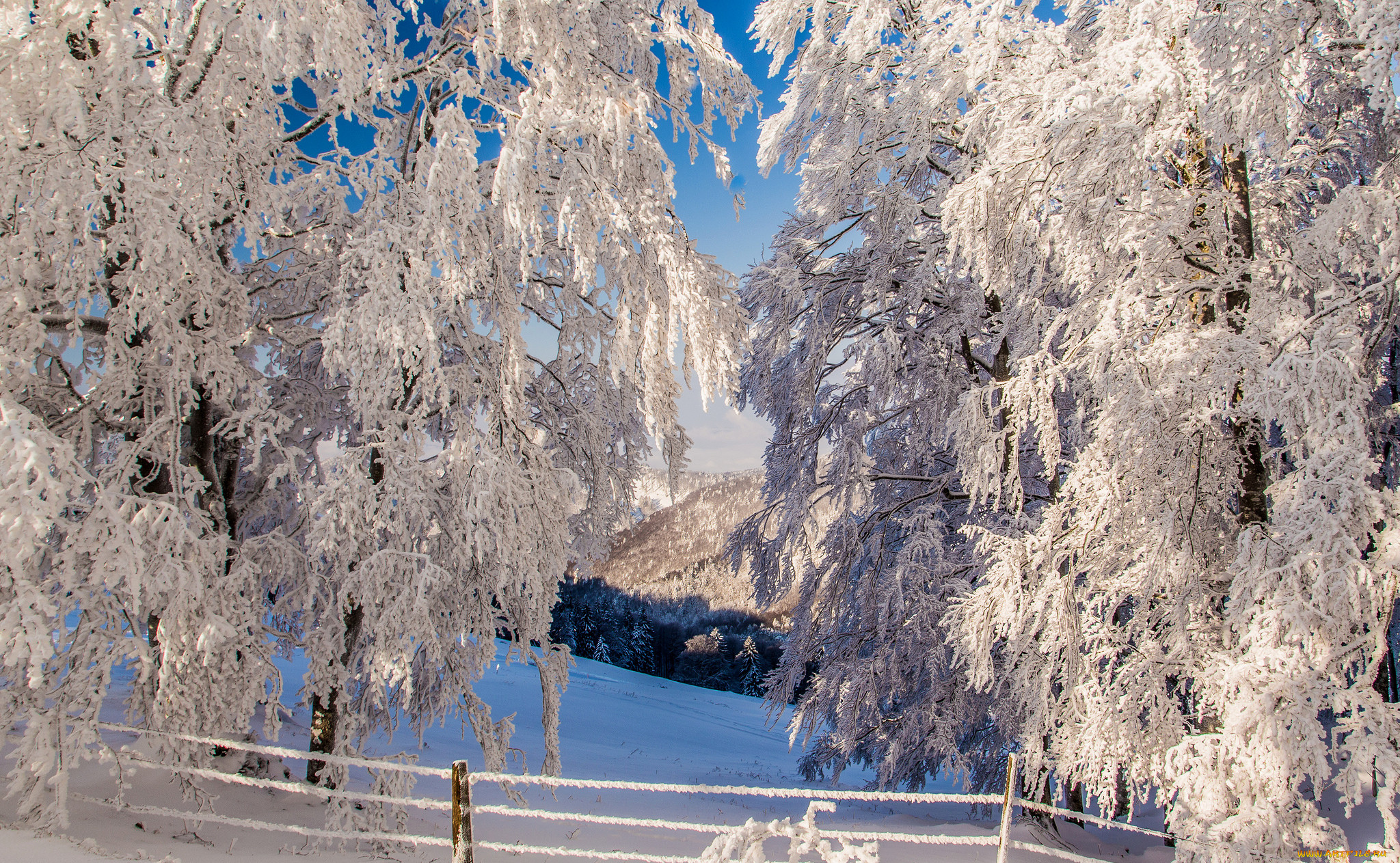 Зима снег фото